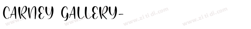 CARNEY GALLERY字体转换